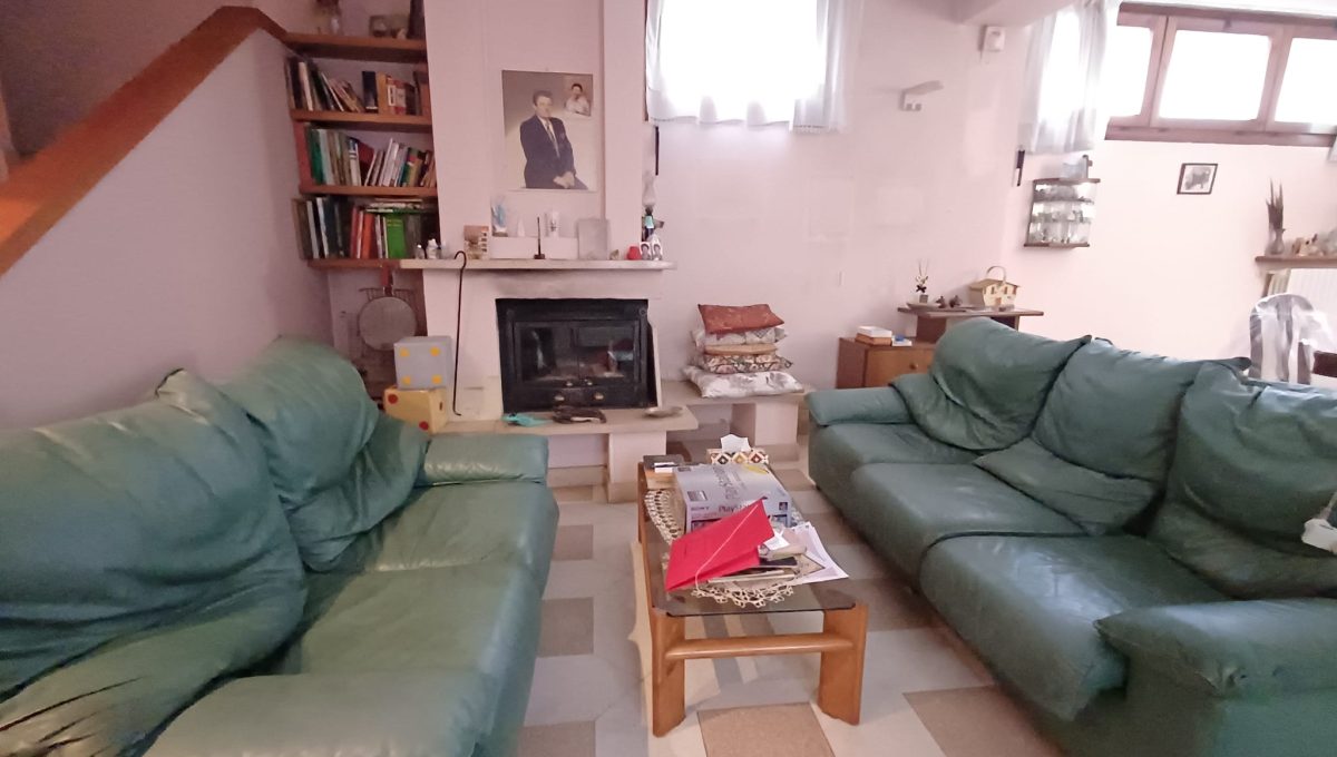 WhatsApp Image 2026-02-03 at 15.43.10 (3)