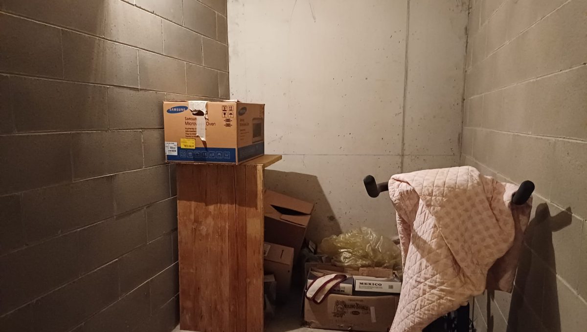 WhatsApp Image 2026-02-09 at 15.23.13