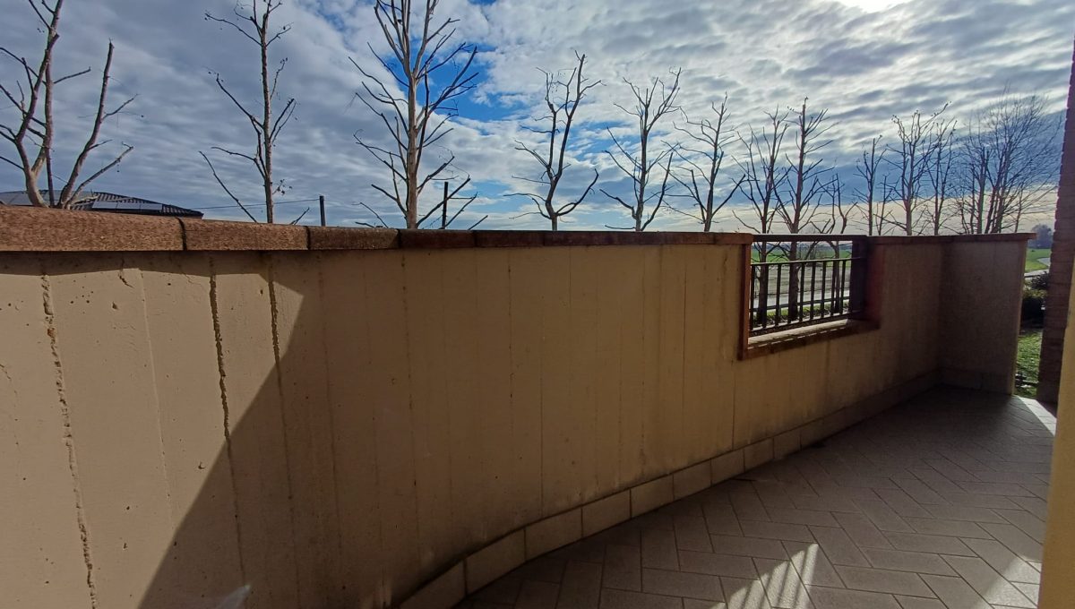 WhatsApp Image 2026-02-12 at 18.45.11 (3)